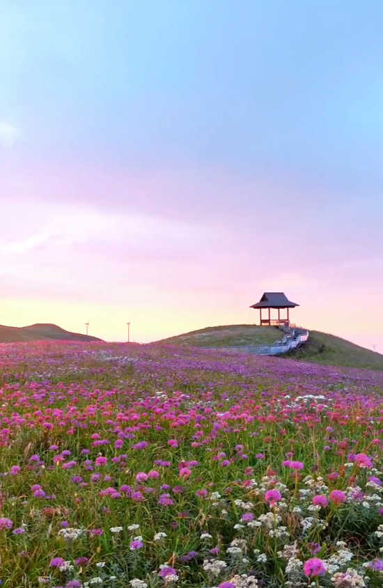 避开人潮！高铁直达20℃冷门小城，花海美过川西、地质景观顶级！16元炫资格美食！