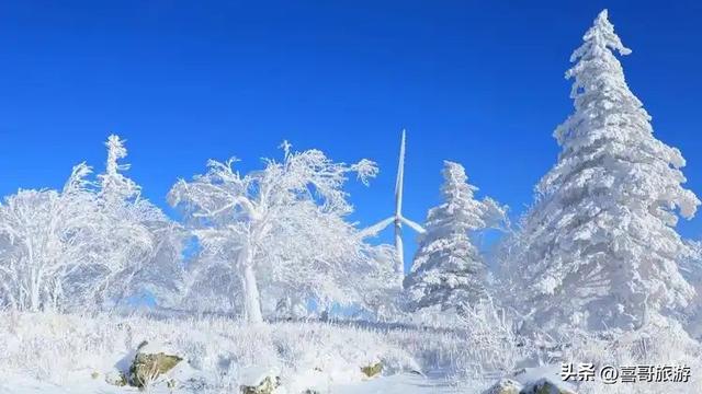 冰雪秘境，林海童话——二浪河，亚血线上的静谧明珠