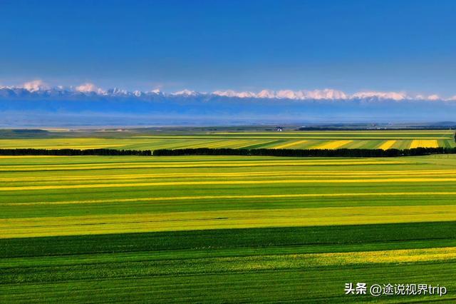 伊犁：中国西北的人间仙境，800公里风景长廊，藏着世间所有美好