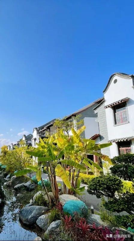 跟着赛事游蒙自|浪漫烟火气 最抚凡人心