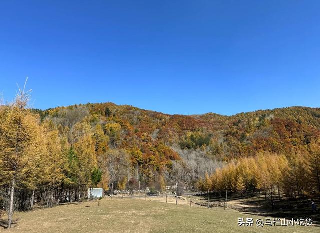 山西吕梁旅游攻略 | 黄土高原上的隐秘宝藏！