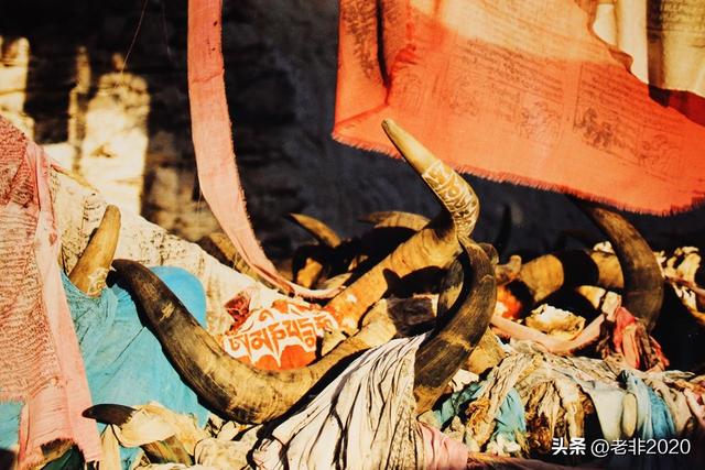 从此不再胡乱结伴：我没把你丢在无人区，仅仅因为你是女人