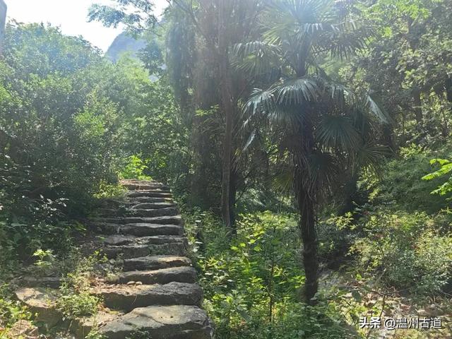温州这处山水秘境、天然氧吧，人迹稀少风景绝美，秘藏了隐世古村