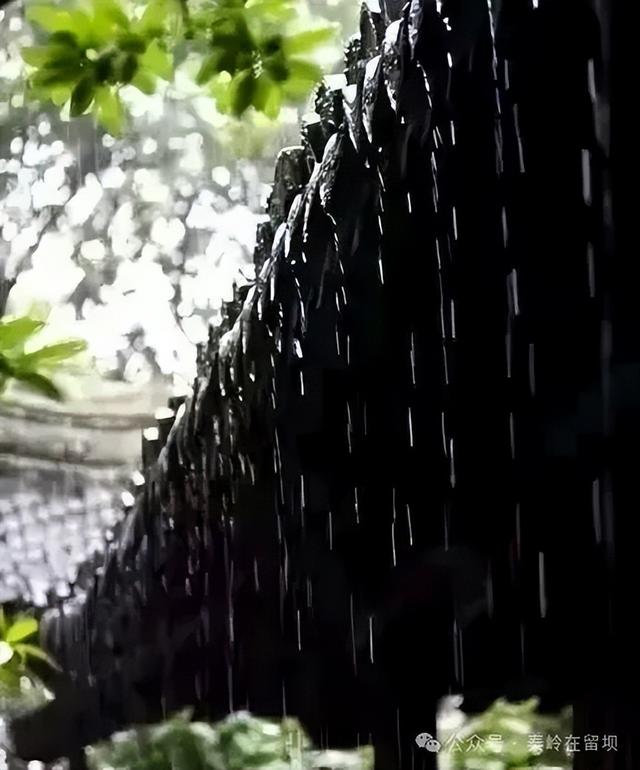 当秋雨掠过秦岭的山脊，汉中悄悄美成写意水墨画
