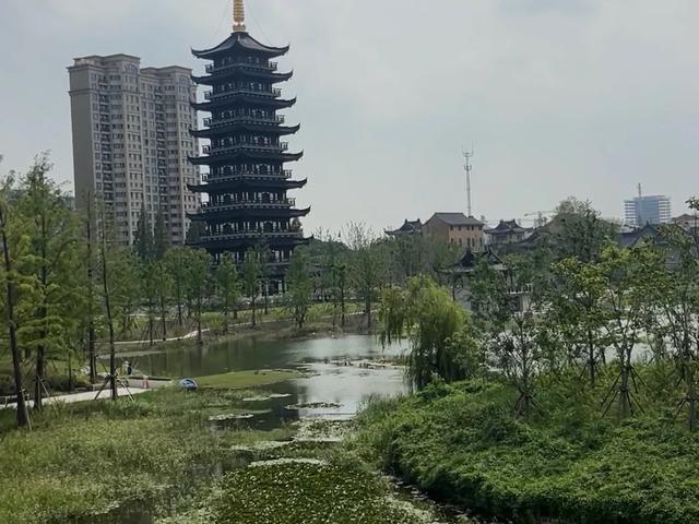 上海30万平的新晋顶流公园，风景绝美免费参观！
