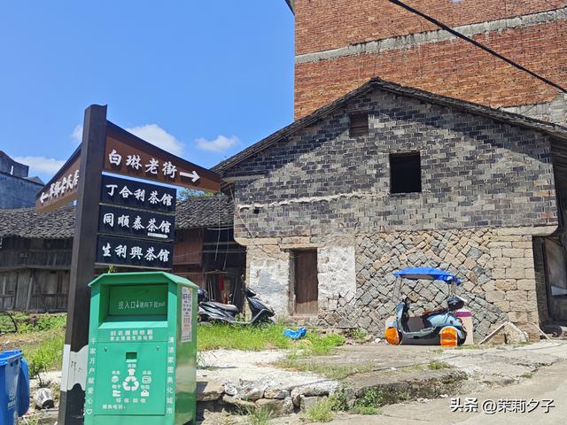 福鼎市区一日游：从白茶发源地到市井小吃赏唐风建筑品山海韵味