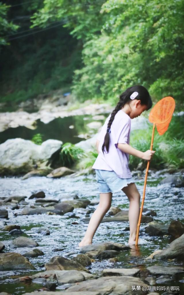 告别36℃热浪！长沙“小荔波”藏着28℃清凉，带娃溯溪玩不停！