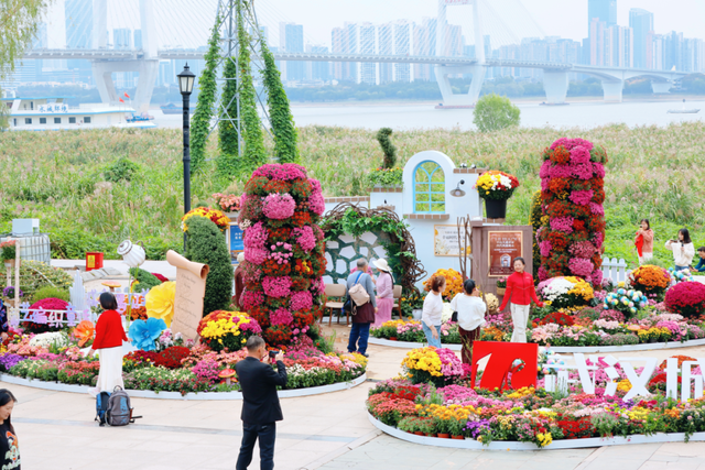 年度金秋盛宴来了，武汉城建集团邀您逛菊展、赏名菊、拍美照！