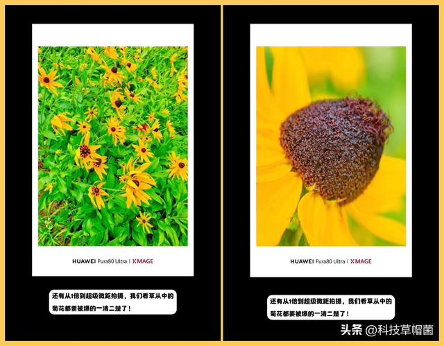 鸿蒙5的10个特色亮点！快来了解下～