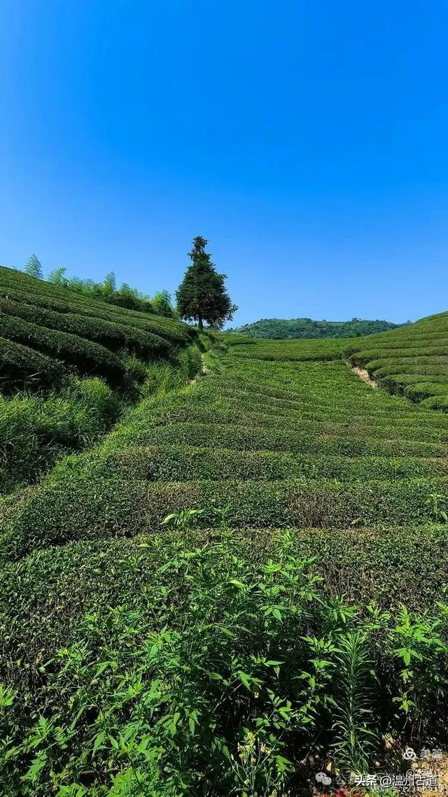 灵脉四合，飘渺仙境！浙江这座隋代古刹灵泉寺你可曾听闻过？