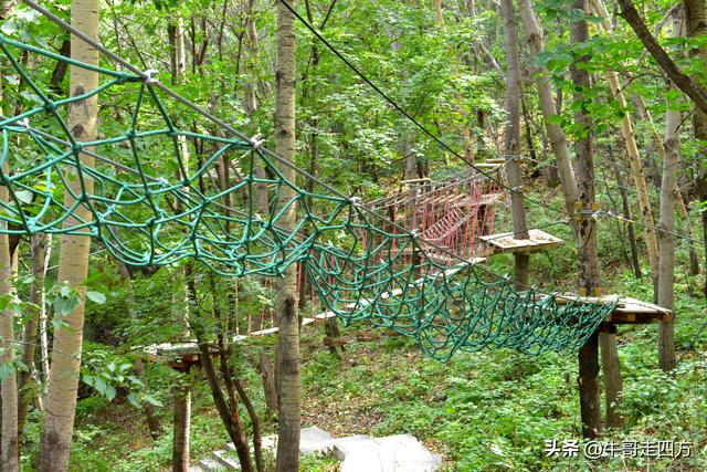 河北百草畔（上）：风动孤石悬险韵，蚁巡深岭蕴生机