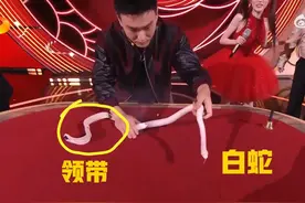 春晚魔术表演大变活蛇和高科技版人体切割术，看着真的好吓人。图片