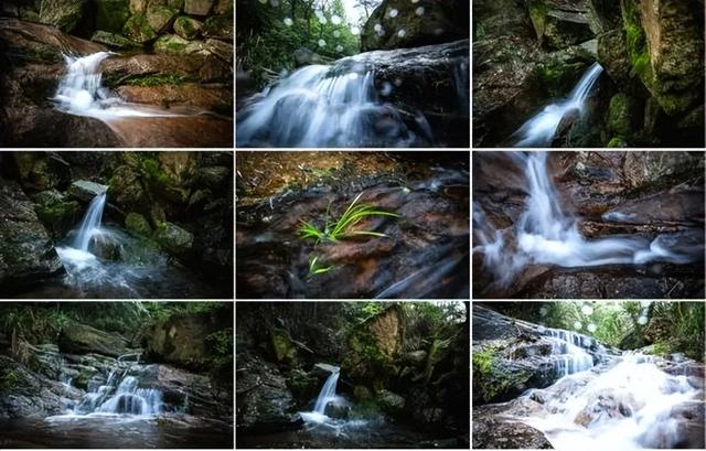 定向赛将至，来游峨桥美！11 月来 “茶香山水” 间解锁诗意乡村