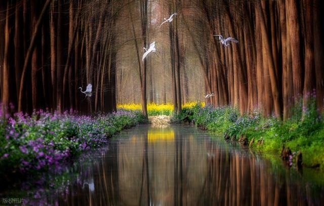 一次性学透|单词变复数后 “s” 的发音规则