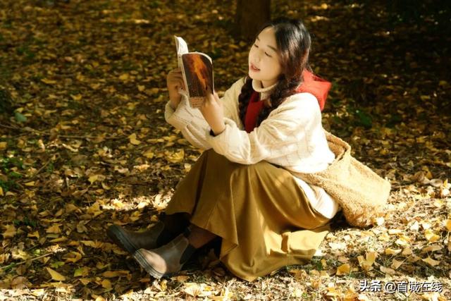 错过等明年！宜宾今年宝藏银杏打卡地合集在这里