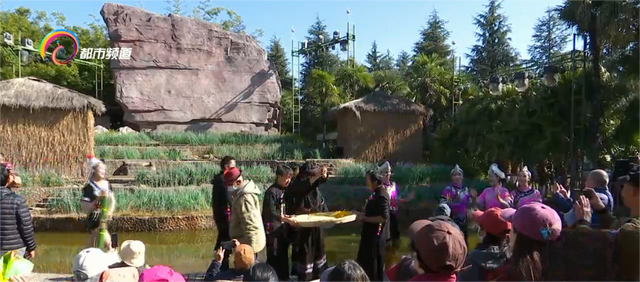 哈尼族“十月年”来了！来云南民族村感受民族风情