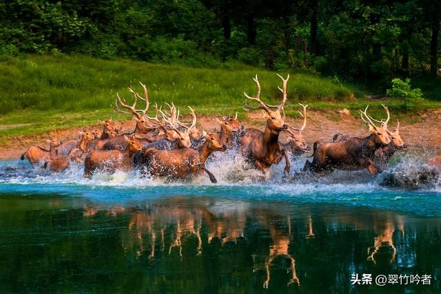 江苏12大5A景区终极考验！去过3个算入门，全去过的是真“大神”