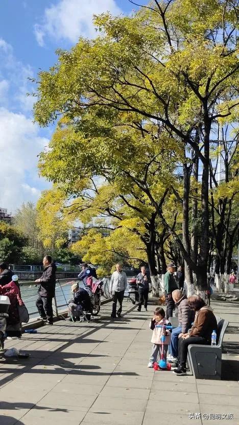 全屏“封神”！这可是昆明初冬的超绝顶流！保姆级攻略来袭，趁天晴立马冲！