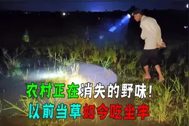 农村正在消失的“野味”，曾经泛滥招人嫌，如果碰它牢底坐穿！图片
