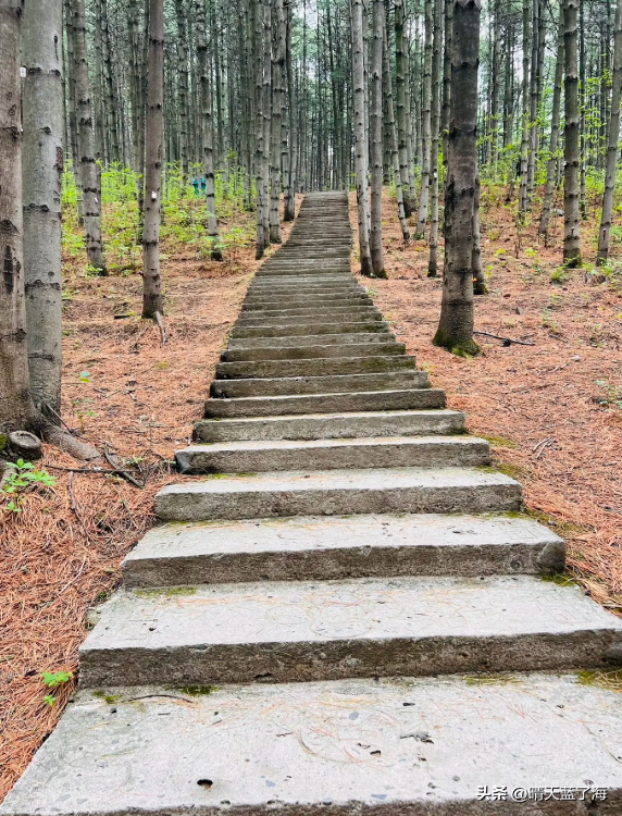 渭北第一峰——云巅石门山：扶苏泪凝秦直道，马刨灵泉润古今！