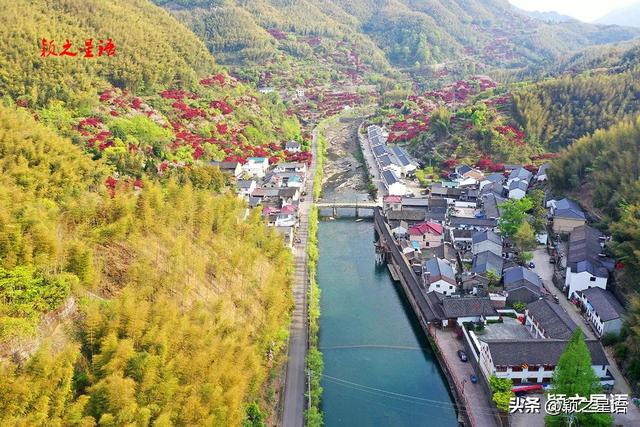 走过这条公路吗？宁波最美秋色路，又到绚烂时