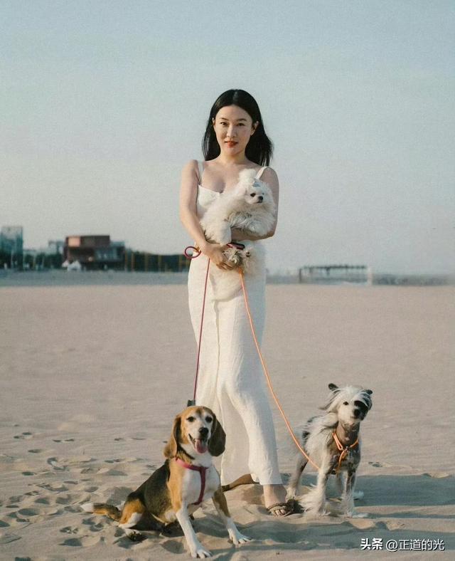 霍思燕穿旗袍携爱犬夺冠前凸后翘丰乳肥臀 难怪杜江对她生理性喜欢