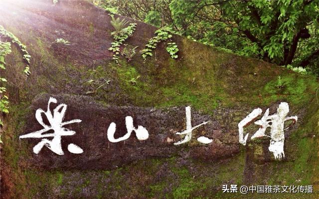 乐山大佛与三江之美：诗意山水间的千年守望