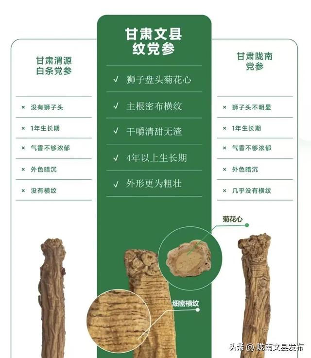 舌尖上的“文县”余味悠长