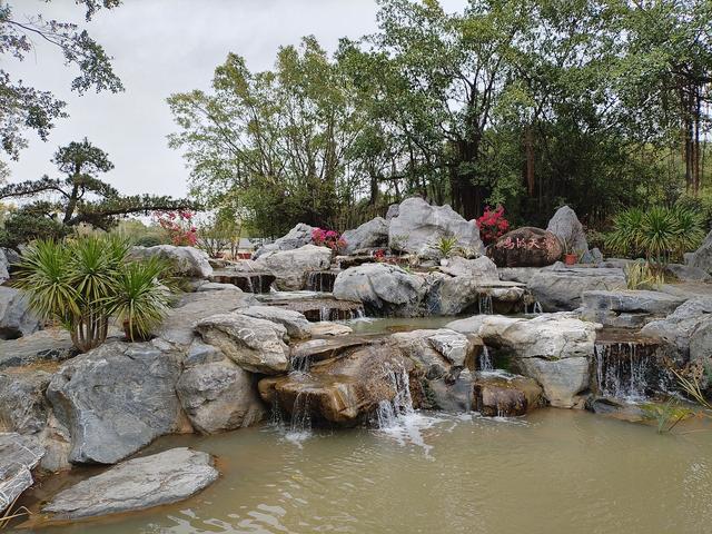 2026温暖广东之旅：漫游珠海、新会、江门