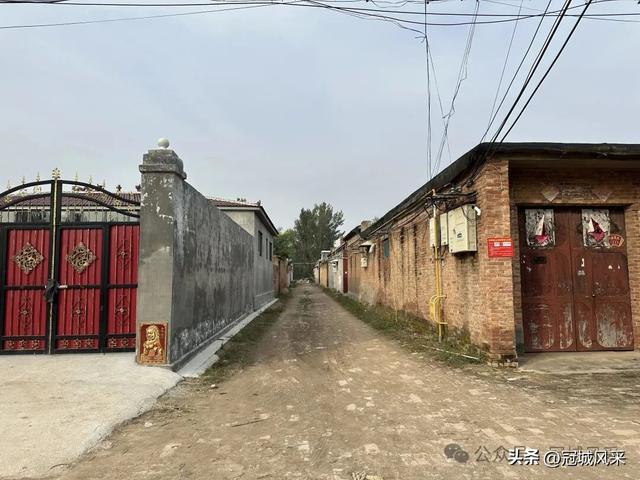 冠县乡韵·桑阿镇轧庄