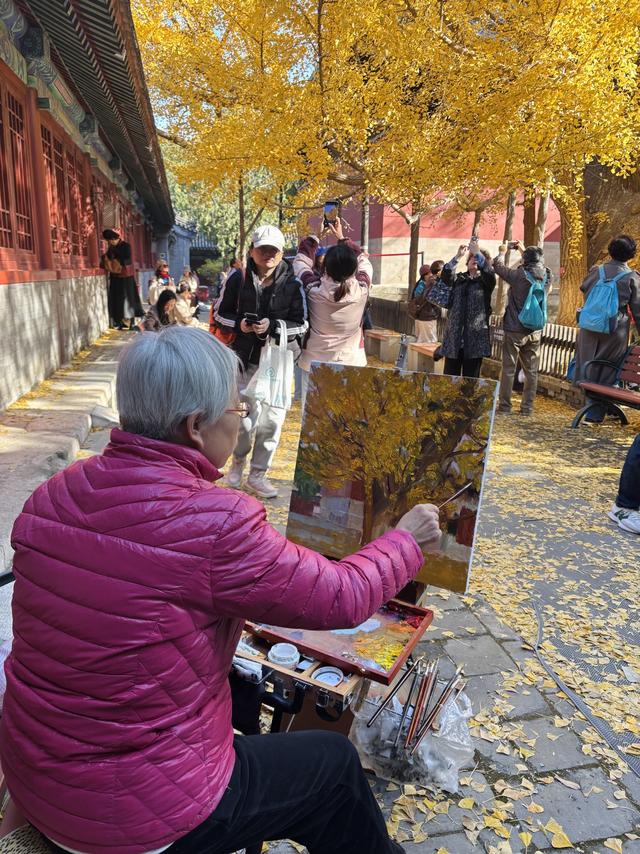 博物FUN | 大觉寺：千年古刹的禅意与新生