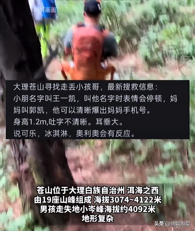 苍山自闭男孩失联后续：救援队回应，老师发声，更可怕的还在后面