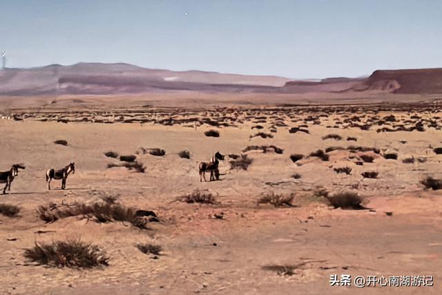 喀什经317到成都，民丰-改则，穿800里无人区，海拔从1500到5400