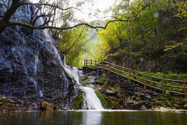 商场变4A景区引争议，年轻人，比起牌照，我更在乎能不能发朋友圈