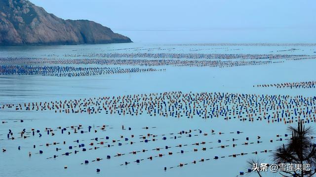 水墨国画，诗意霞浦
