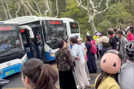 杭州雷峰塔景区，北京老年旅行团拦公交堵路，要求派专车拉他们图片