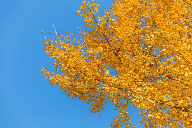 这3.7公里，是公安写给秋日的诗…