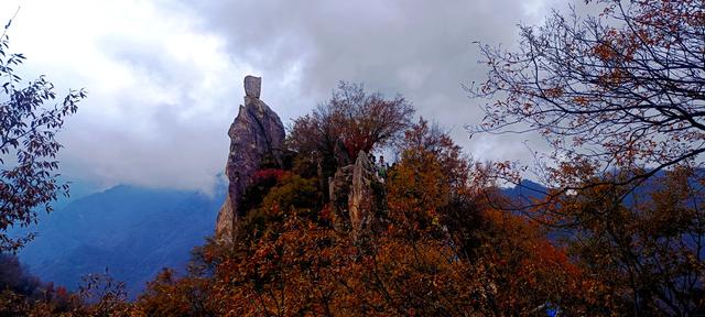 最爱秋意行不足 再上翠华赏秋色