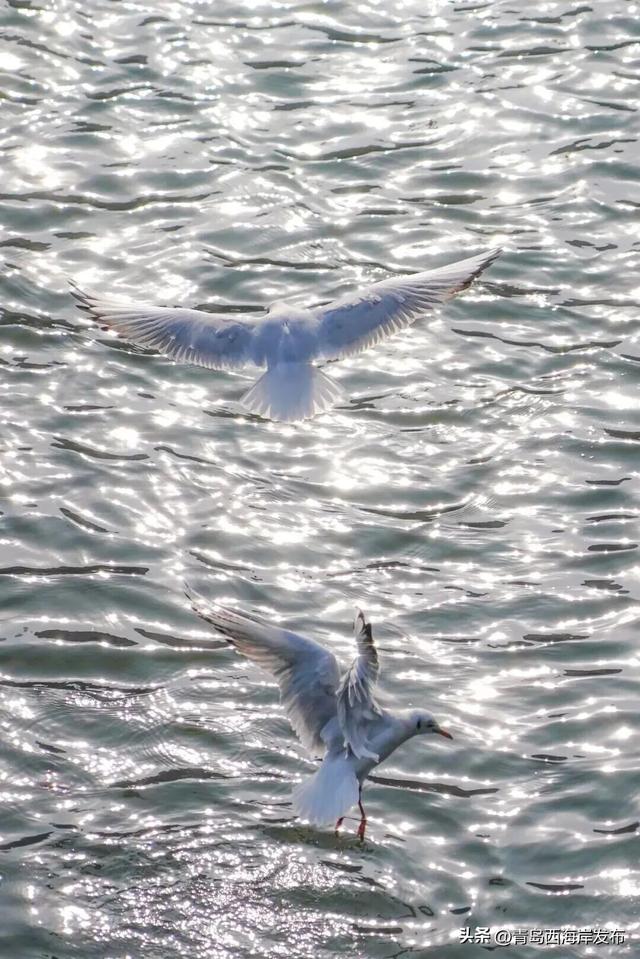来西海岸，跨年就要这么玩！