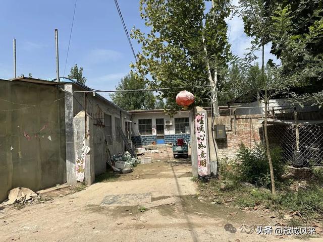 冠县乡韵·定远寨镇前杏园村
