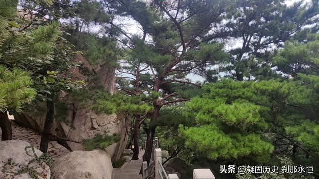秋游青岛崂山——2025年8月17日至21日照片全记录
