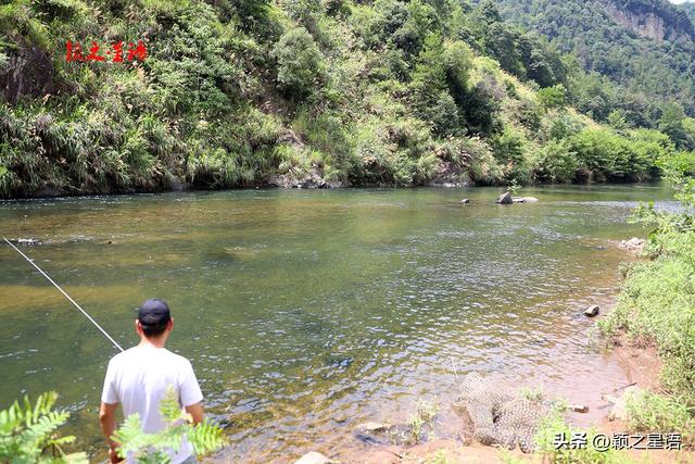 三市三县交界地，最美收费站，坐拥风景里