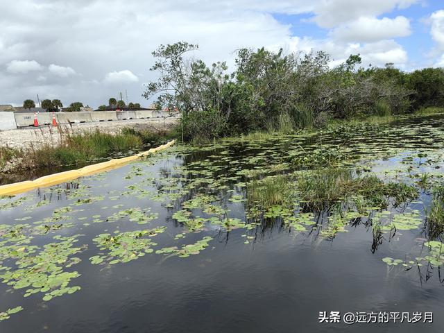 大沼泽地美国国家公园（迈阿密游记三）