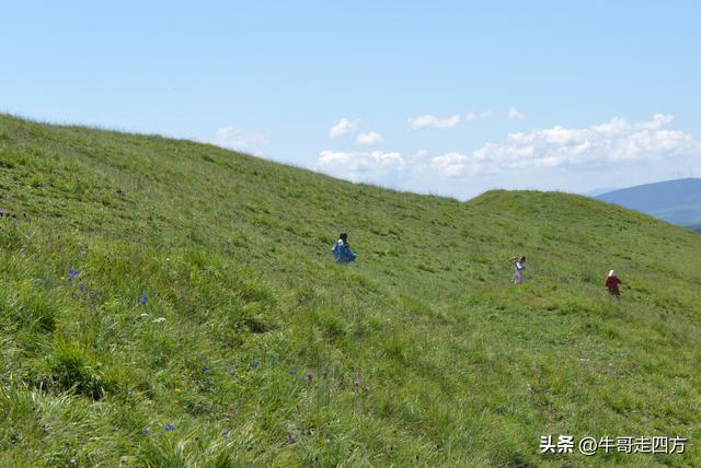 河北麻田岭（上）：绿野铺毡接云影、风轮伴路探山魂