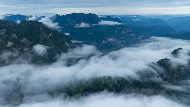 守护生态秘境——走进徽县三滩森林公园