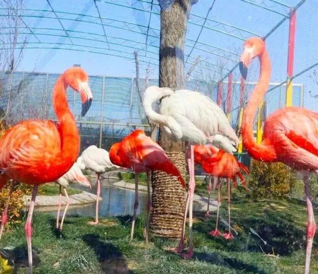 国家级榜单！潍坊这条路线上榜！