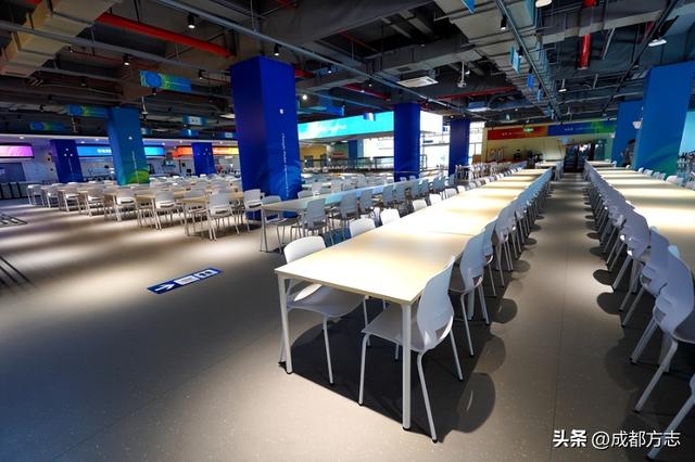 成都藏了个鸟类天堂？200多种精灵在此安家！