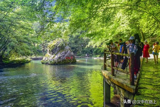 别把自己烤化了，赶紧去汉中黎坪享受22℃的清凉空调！