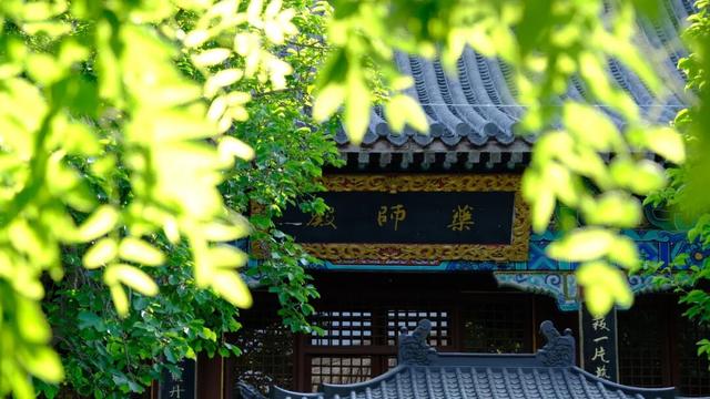 我想离开浪浪山，去房山看看！