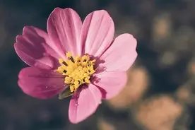 真正有远见的父母，大都不允许女儿嫁这三类男人，原因很简单图片